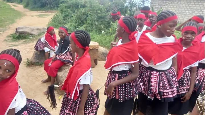 Cultural dancers